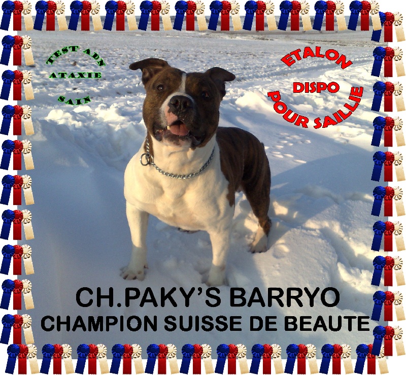 CH. Paky' S Barryo